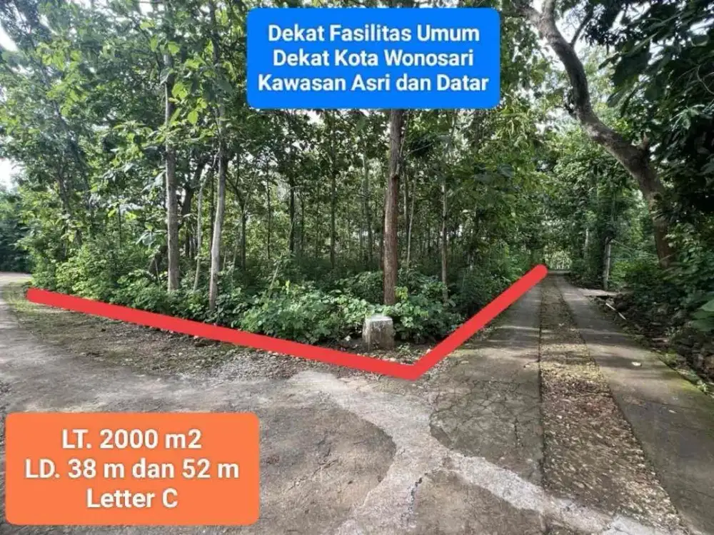 Jual tanah murah kebun jati hook mangku 2 jalan di Bejiharjo Karangmojo Gunung Kidul