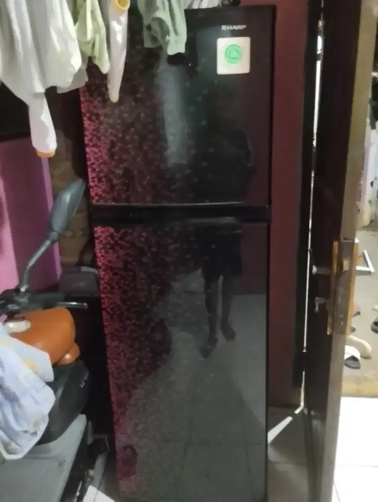 Kulkas Sharp 2 Pintu