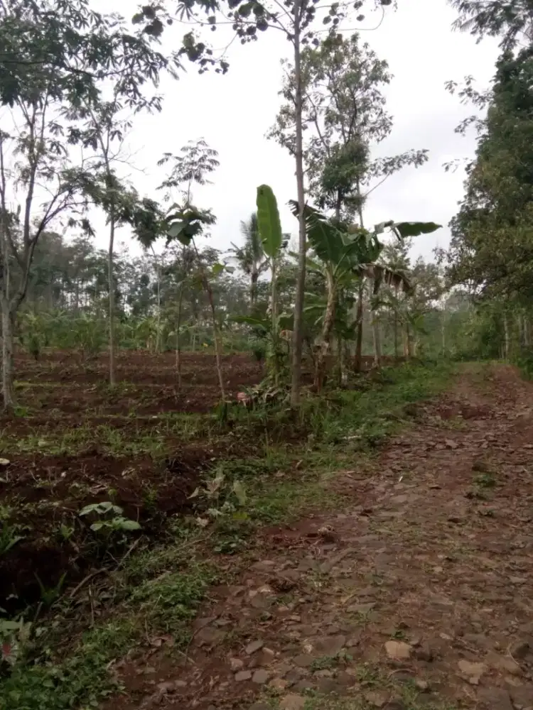 Tanah nol jalan murah 8400 m bsa perluasan akses truk dekat tol
