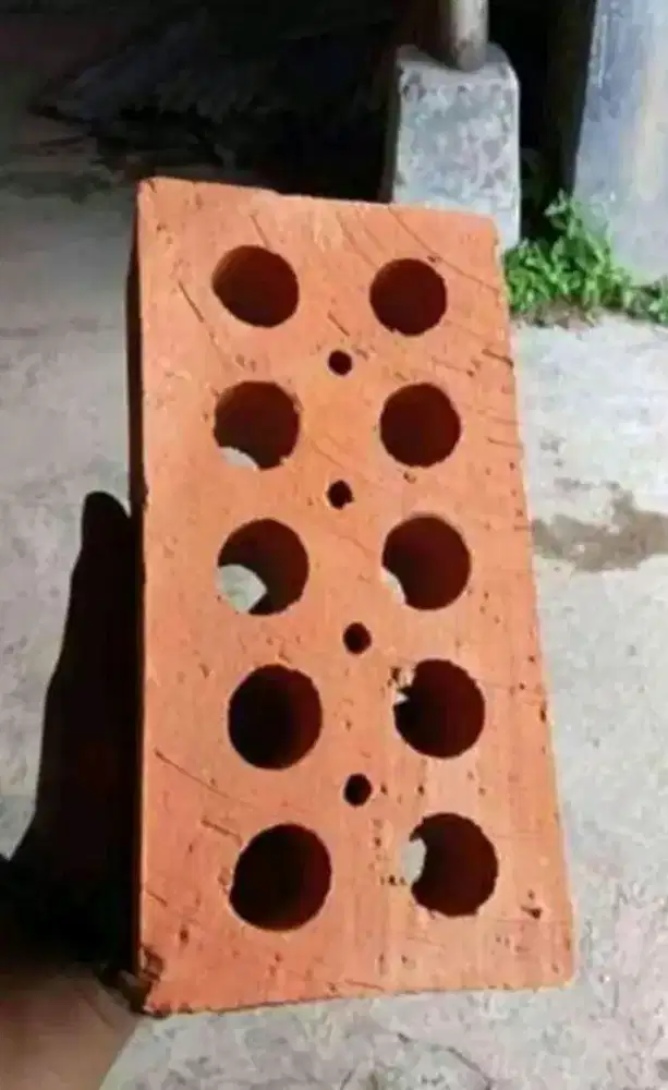 Bata expose tanah liat