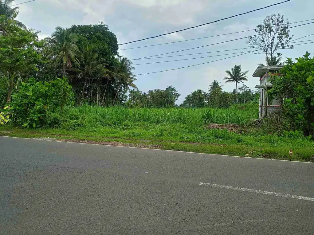 TANAH POROS JALAN RAYA CURUNGREJO KEPANJEN MALANG