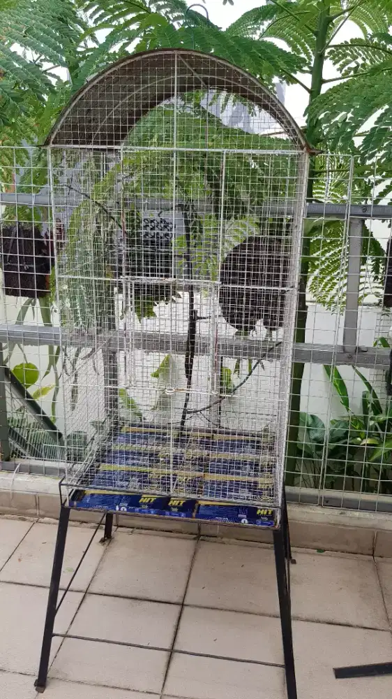 kandang burung besi