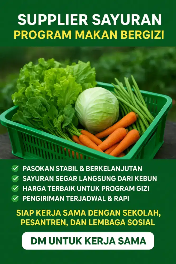 Supplier sayuran untuk program MBG
