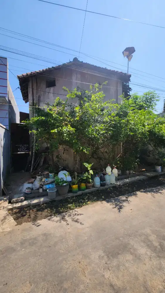 Jual tanah kademangan probolinggo