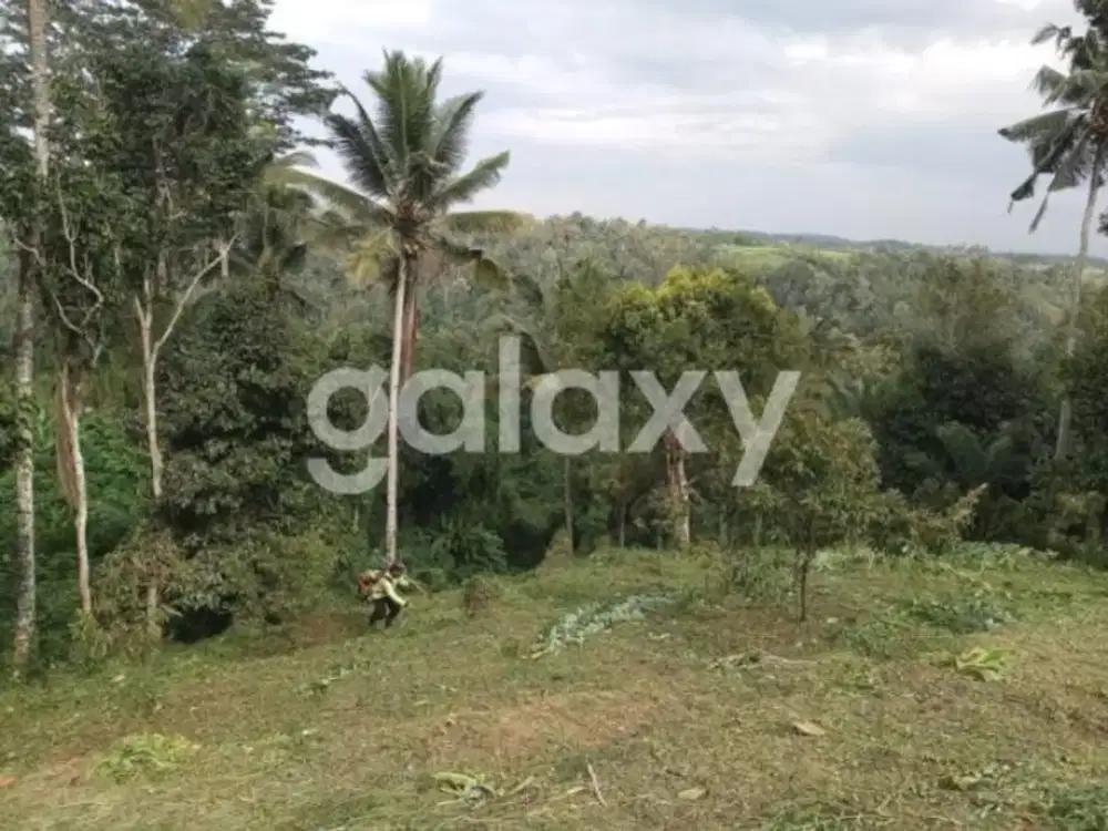 TANAH SIAP BANGUN BELIMBING PUPUAN TABANAN, BALI