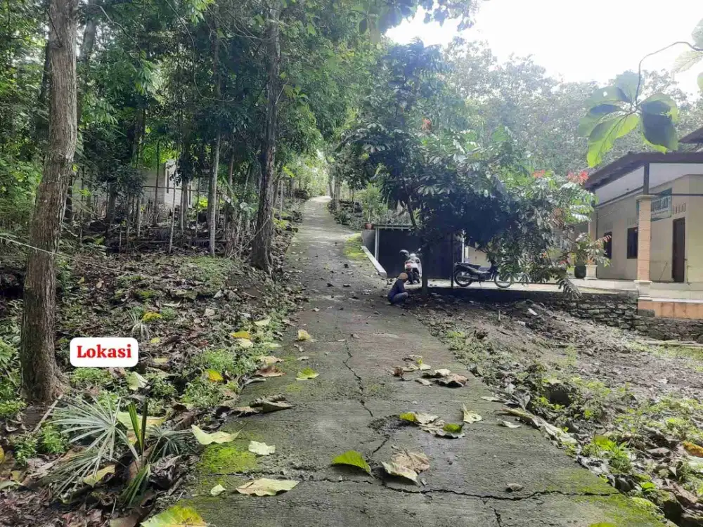 JUAL TANAH DI SRIKAYANGAN SENTOLO KULONPROGO DEKAT MASJID