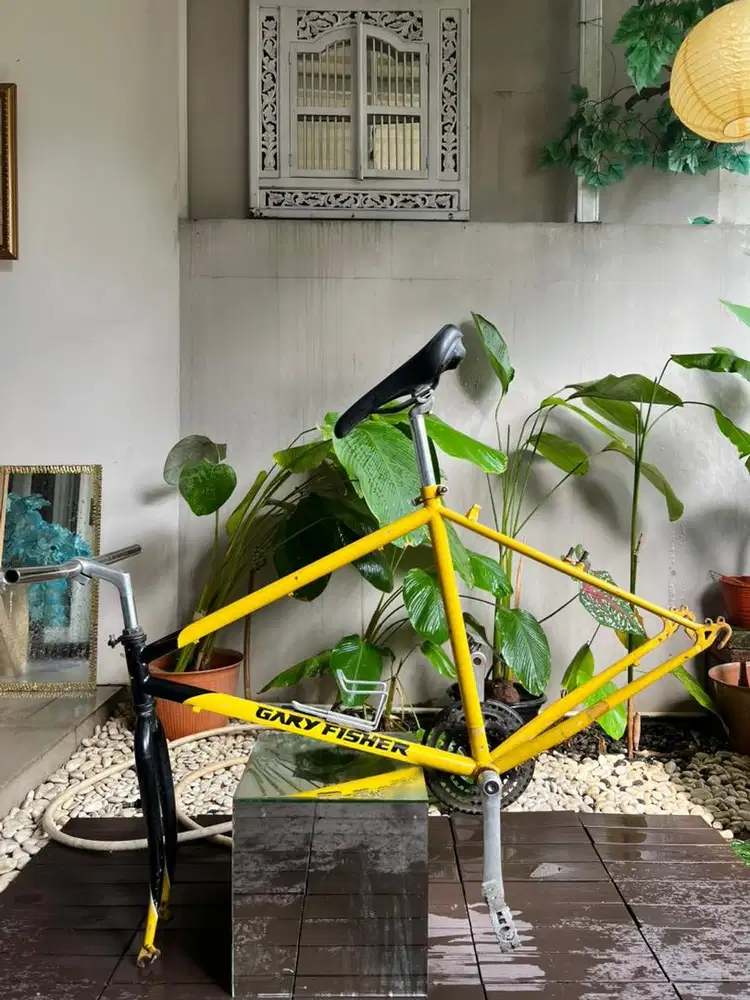 Frame MTB Gary Fisher