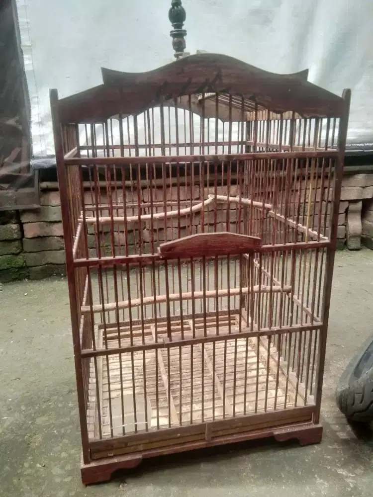 Kandang Kotak Kayu