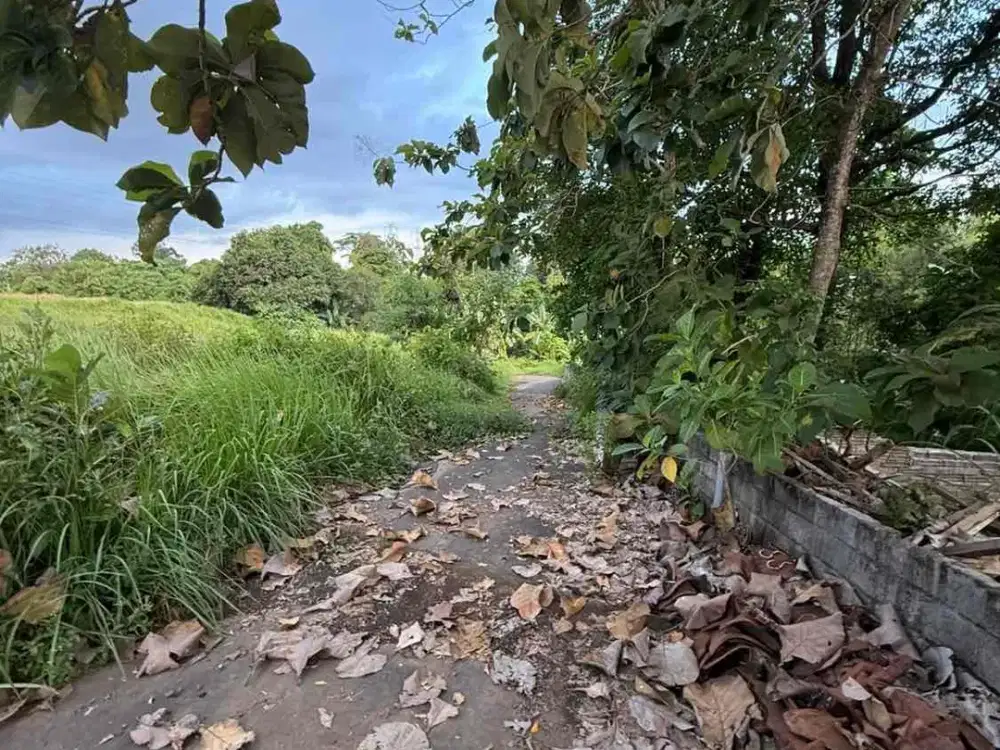 jual tanah beraban tabanan