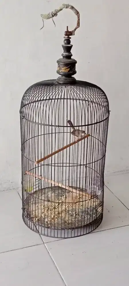 Amunisi cikris gacoran