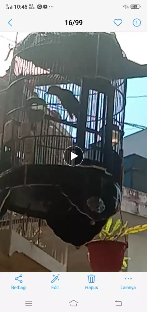 manga n peryogi am na ring helboy krg ebod jadul