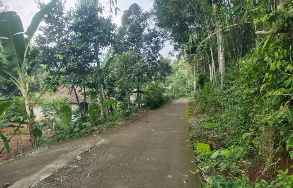 Pekarangan murah mojogedang Karanganyar