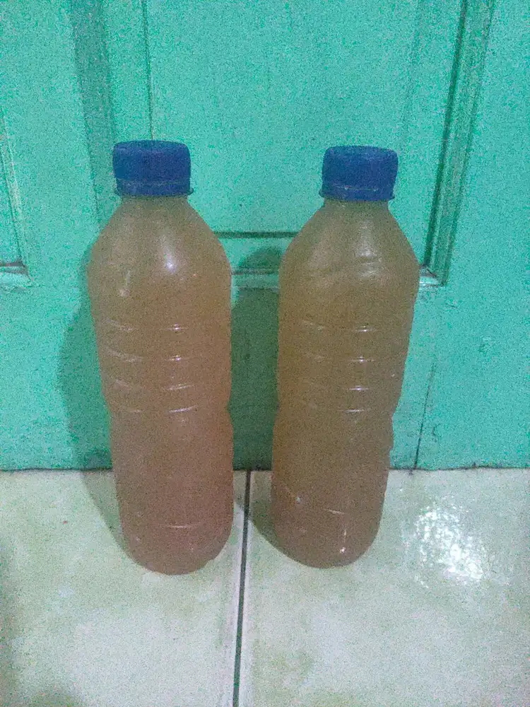 Jual jamu wasir / ambeien