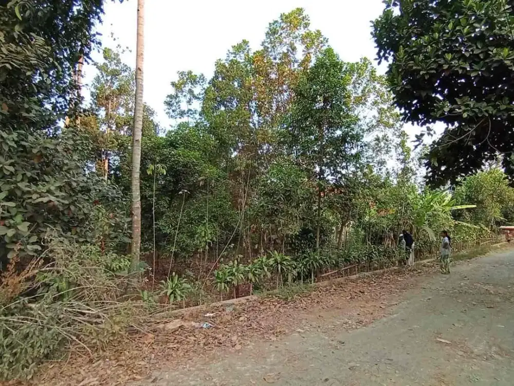 Dijual Tanah dekat Warehouse Eiger Kalijati Subang