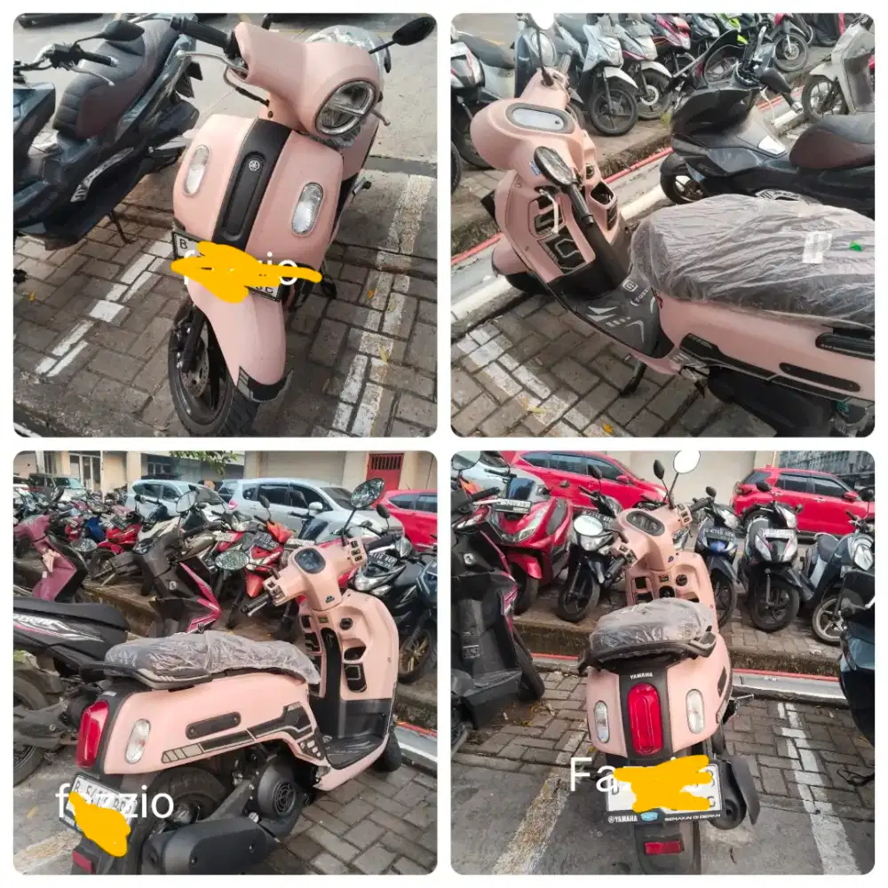 Dijual  Fazzio ungu Muda