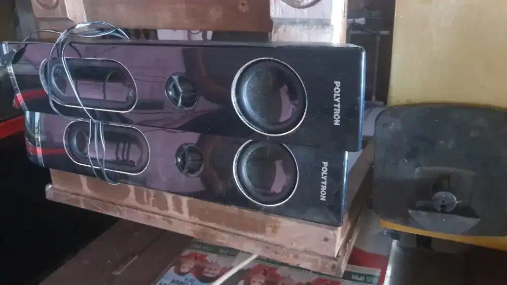 Speaker Polytron Cinrmax Series