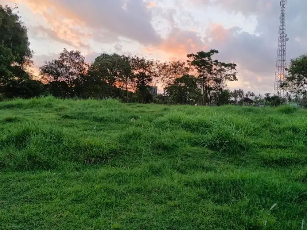 Turun Harga Miring Tanah 50 Are Dekat Pantai Balian Tabanan Bali