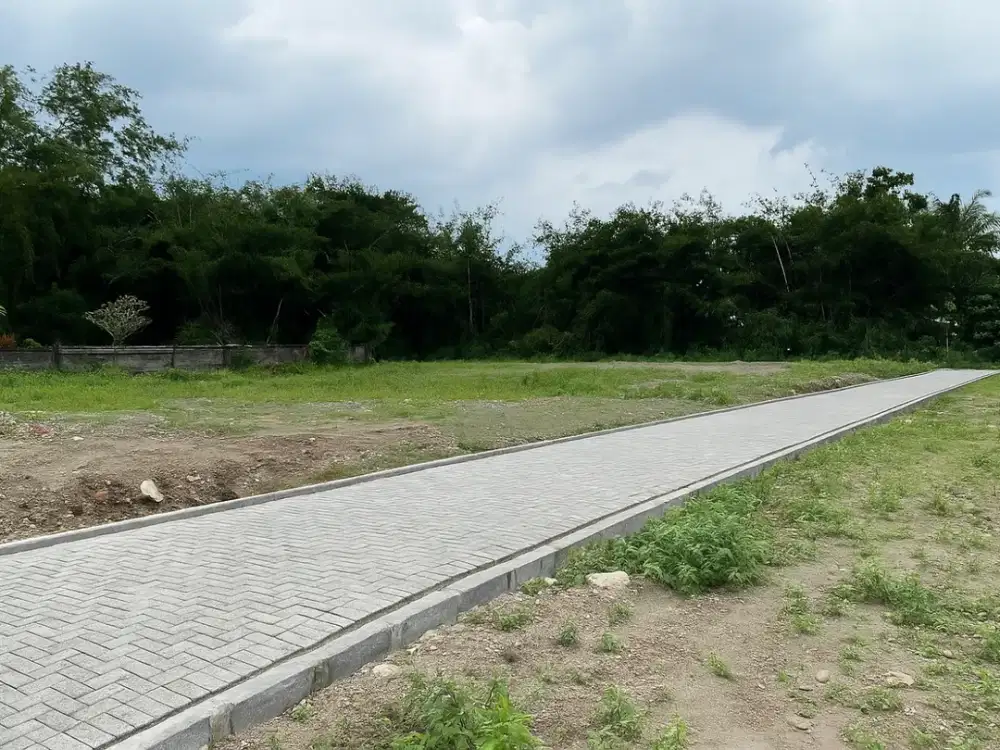 DiJual Tanah SHMP, Murah Tepi Jalan Cangkringan, Lapang View Perkebunan