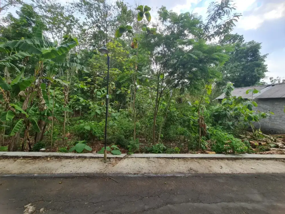 Tanah murah mojogedang dekat polsek