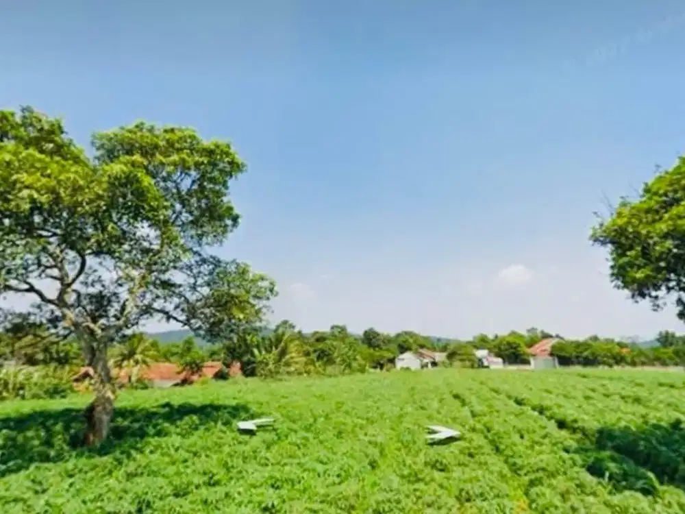 Dijual Tanah Kebun Siap Bangun 3000 m2 di Parung Hijau Bogor