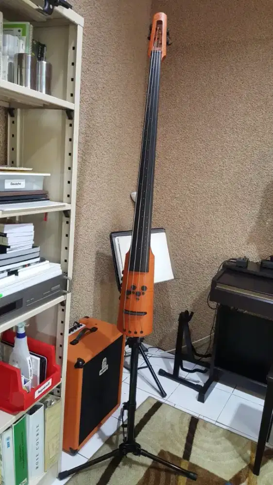 NS Electric Upright Bass, CR-T Series