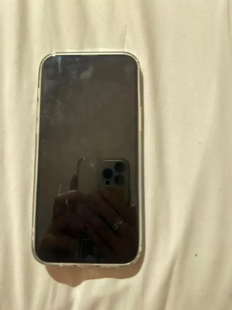 Dijual Iphone 13 Promax 256GB Second