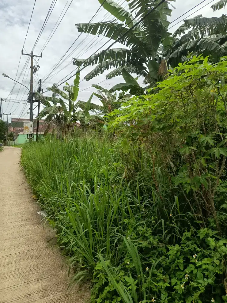 Tanah Citayam Pabuaran Di Jual tanpa perantara