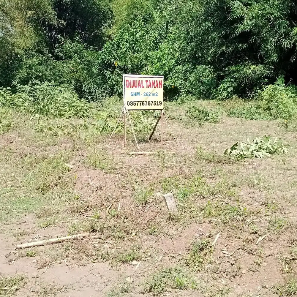 Tanah kavling Desa Mondo