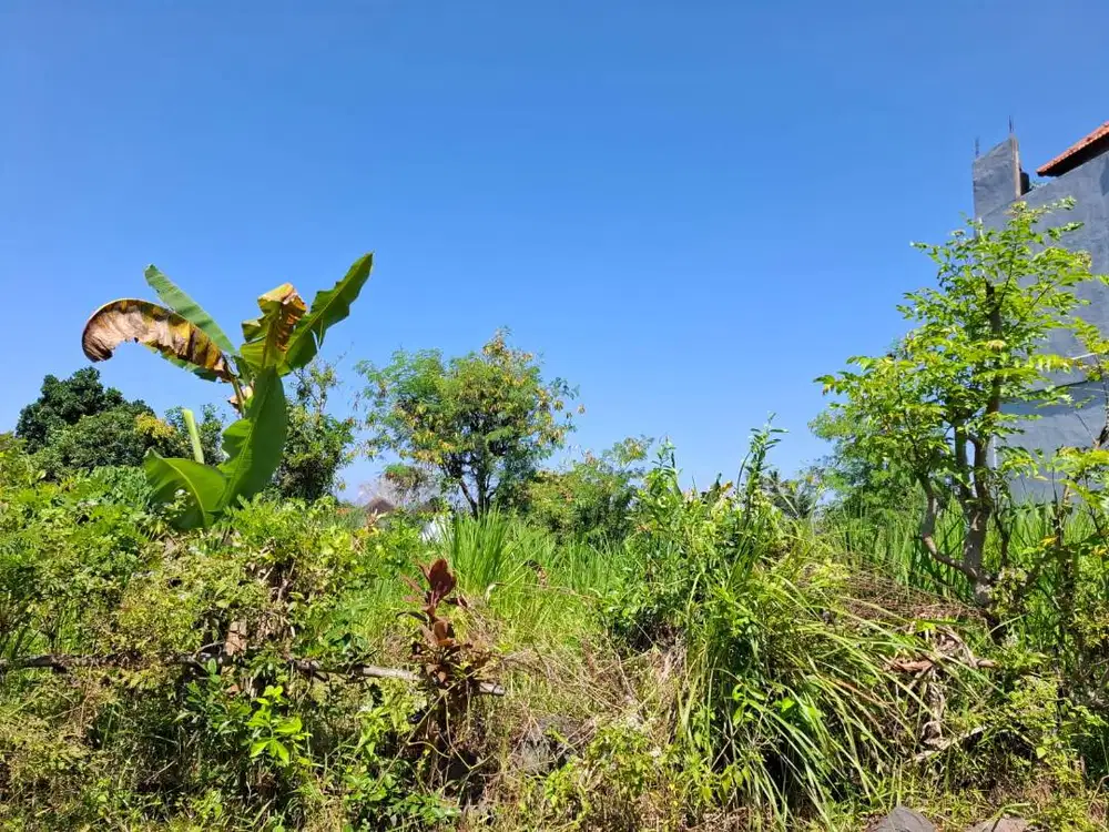 TANPA PERANTARA - LOKASI STRATEGIS DEKAT JALAN UTAMA KE TIRTA GANGGA