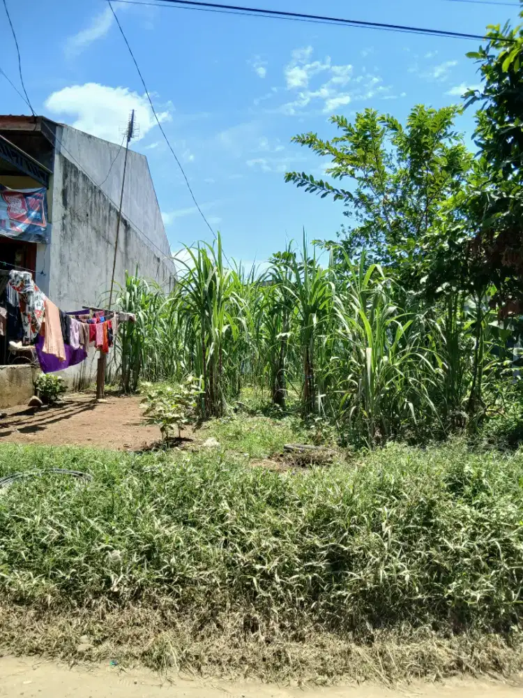 Di jual tanah kosong SHM