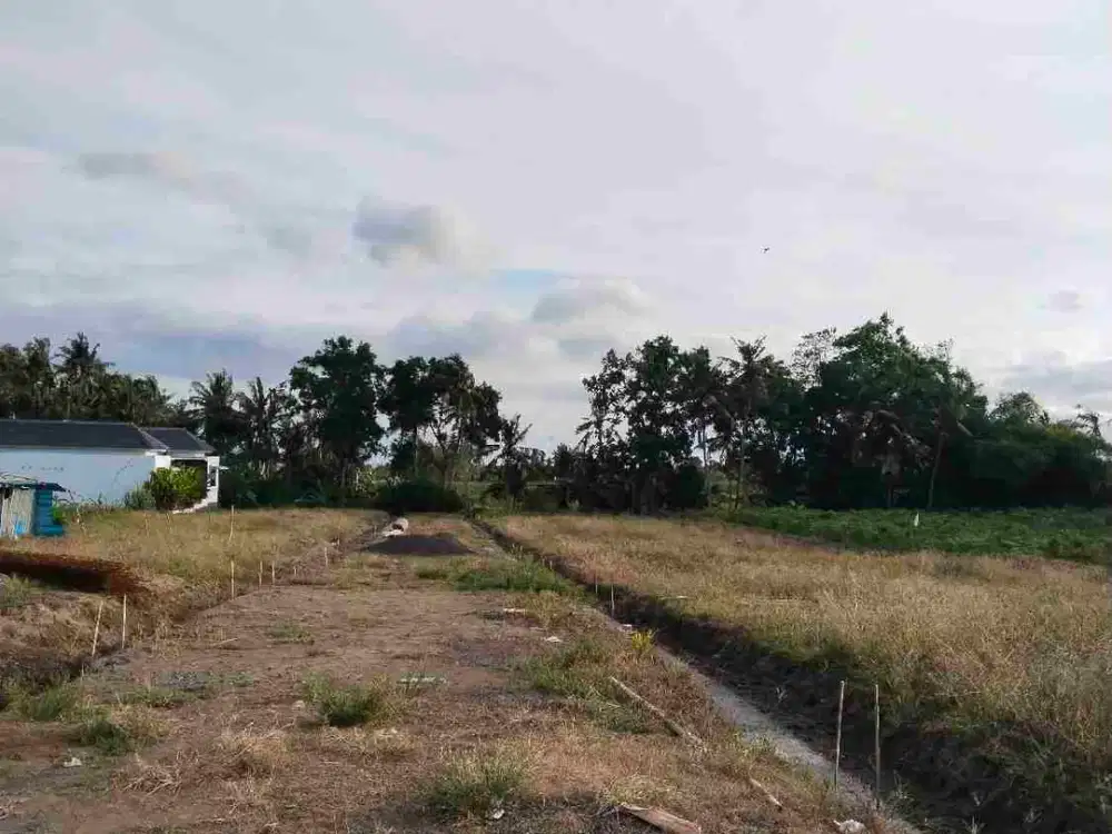 dijual tanah kavling dekat pantai purnama sukawati