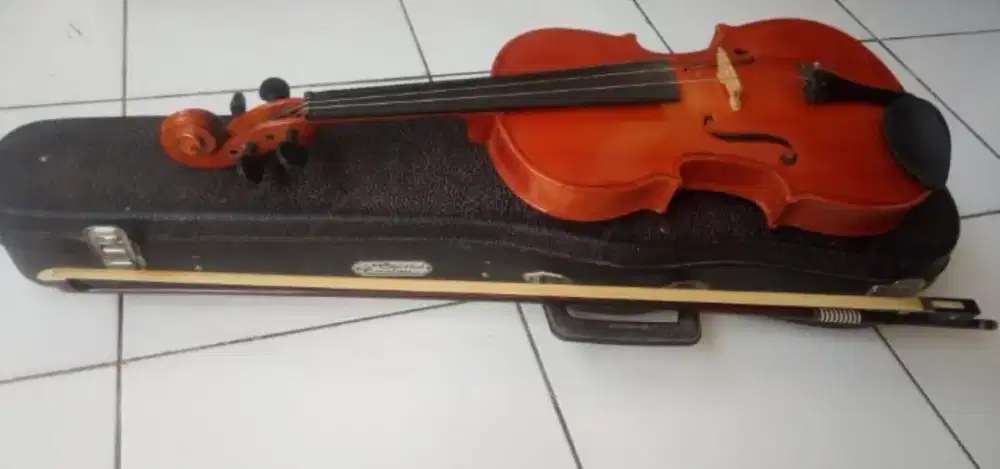 Jual Biola skylark untuk anak SD