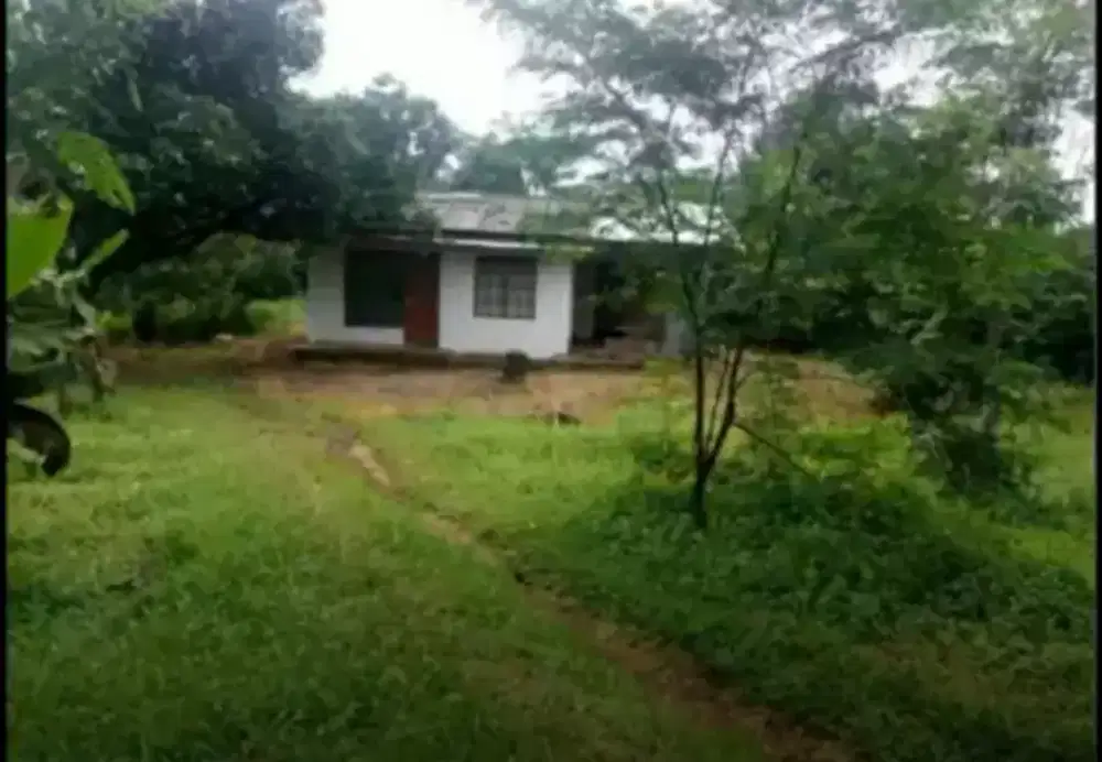 LAHAN SUBUR + MATA AIR