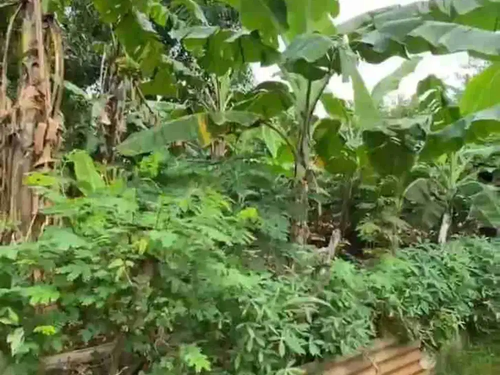 Di Jual Cepat dan Murah Tanah kosong letak strategis di Mustikajaya Bekasi