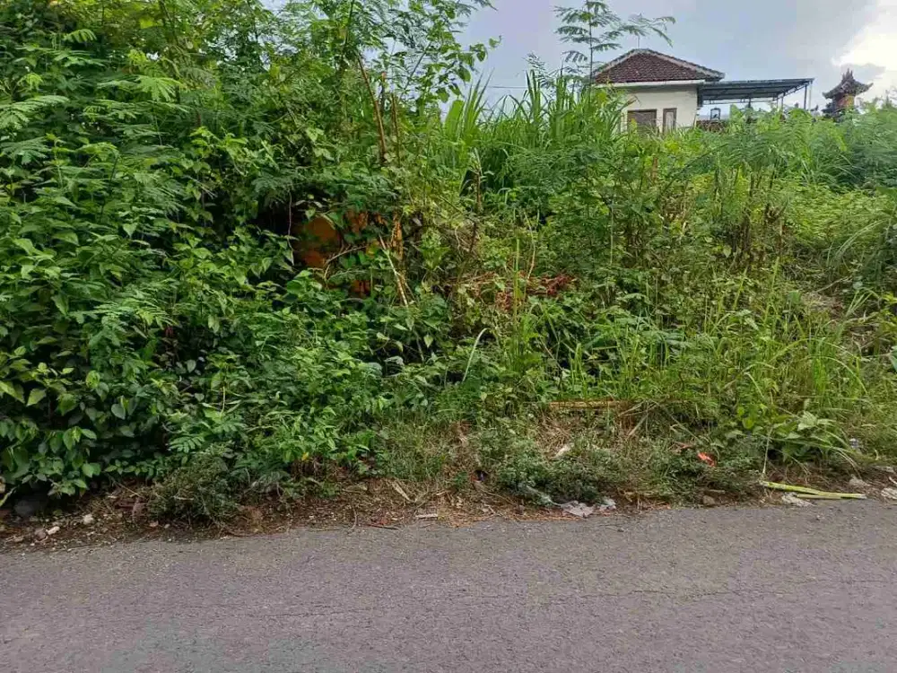 dijual tanah 4,65 are di perumahan Taman jimbaran Kuta Selatan Badung Bali