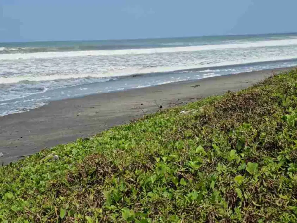 Beach Front Land di Pantai Yeh Gangga Tabanan Bali