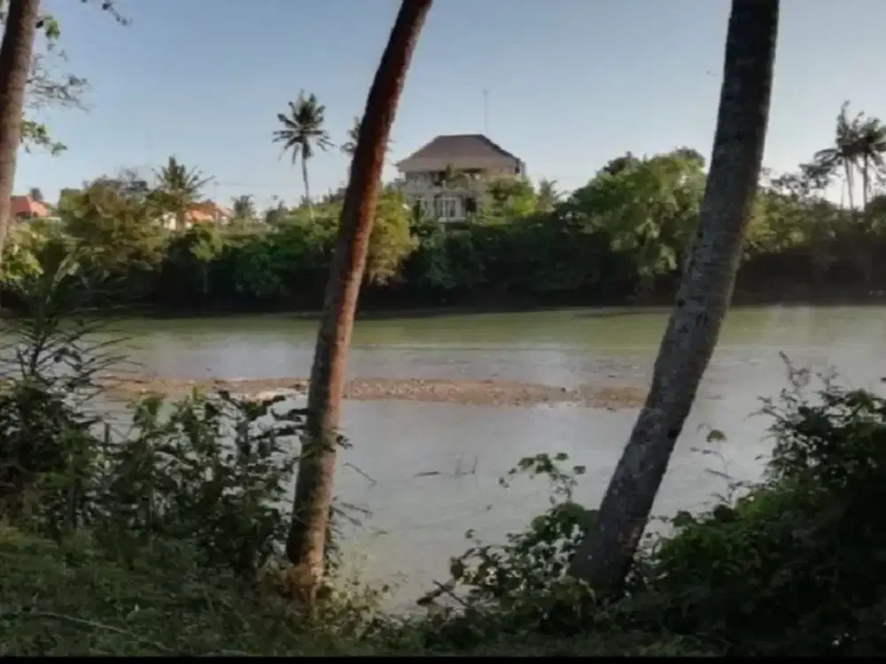 Tanah View Muara Sungai Di Pasut Tabanan Bali