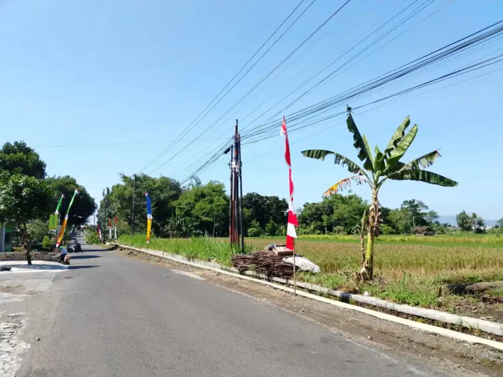 Tepi Aspal Besar, 3 Menit SD Budi Mulia dua Panjen, Peruntukan Usaha