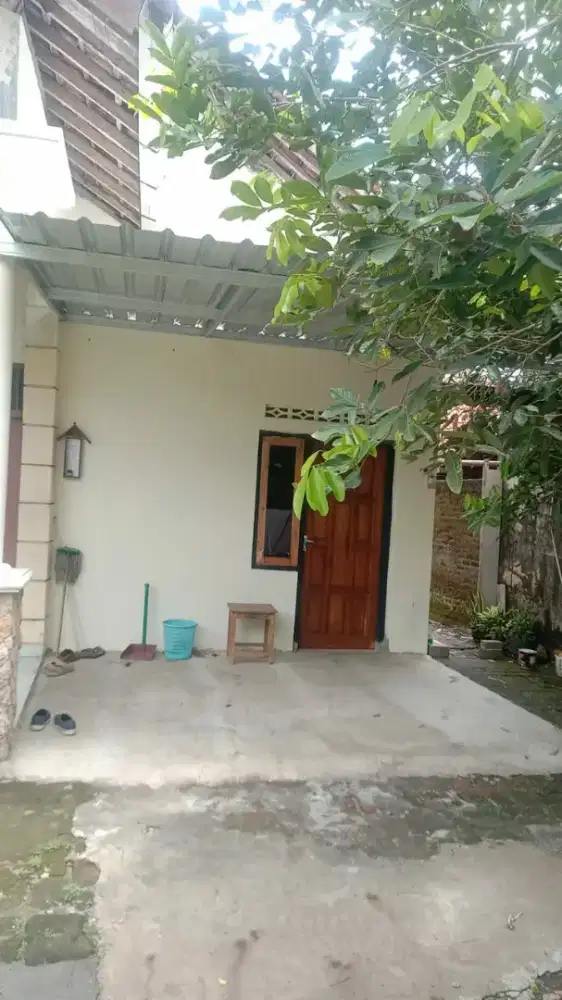 Kost putra / Putri bu is