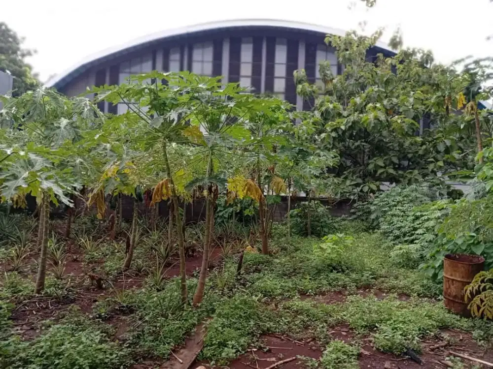 Tanah murah nempel UNNES Ring 1 cocok untuk usaha kos