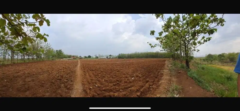 Dijual Cepat Tanah Pribadi (SHM)