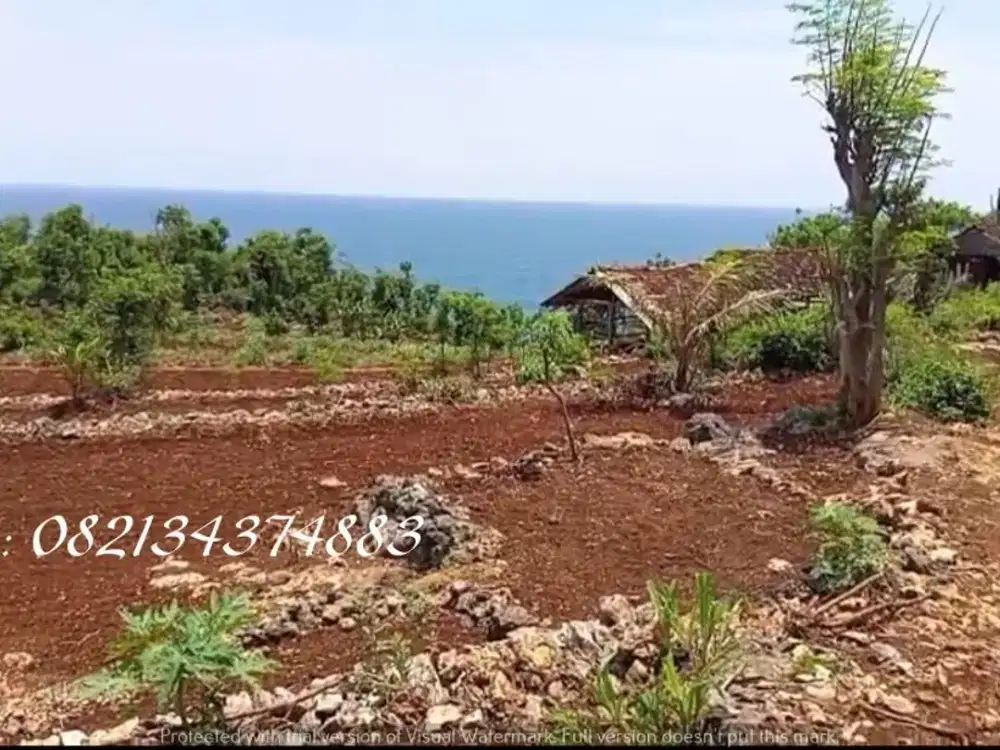 Tanah dijual di Pantai Ngrumpon Gunung Kidul, cocok untuk villa