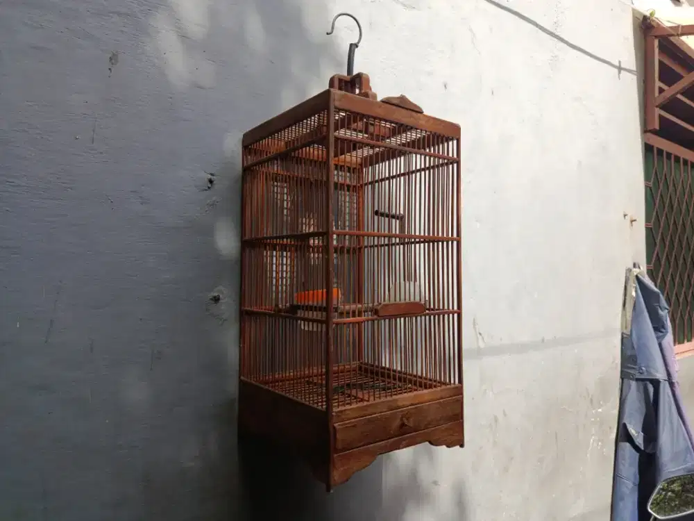 Kandang burung kecil
