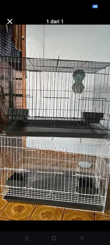 Kandang lipat new baru