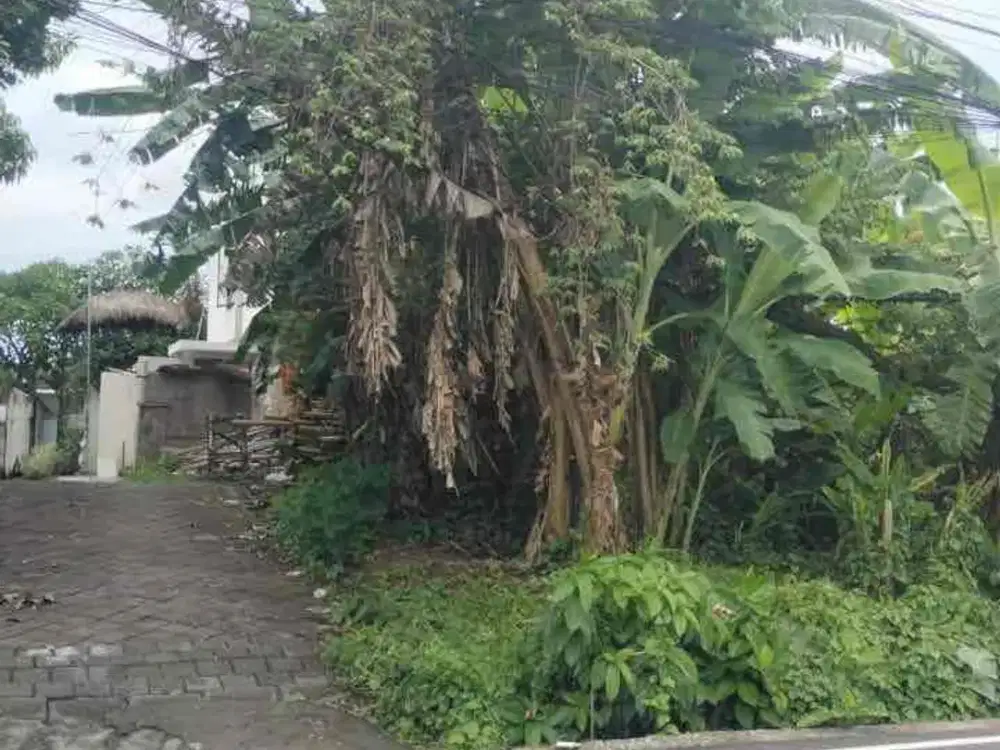 DI JUAL TANAH LUASAN KECIL PINGGIR JLN UTAMA ( LANGKA / JARANG ADA ) 

LOKASI TUMBAK BAYUH SELATAN