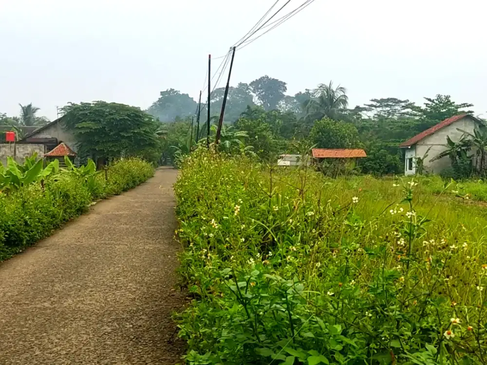 Dijual tanah kebun dekat rencana tol dan view gunung di Rumpin