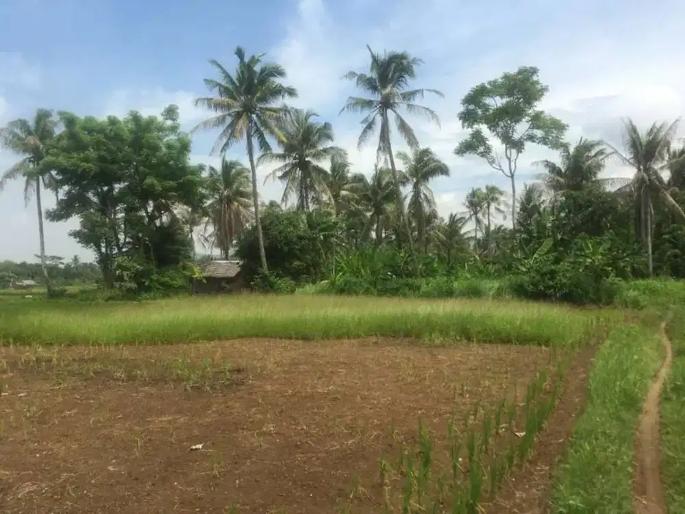 Tanah Anyer di area Pariwisata