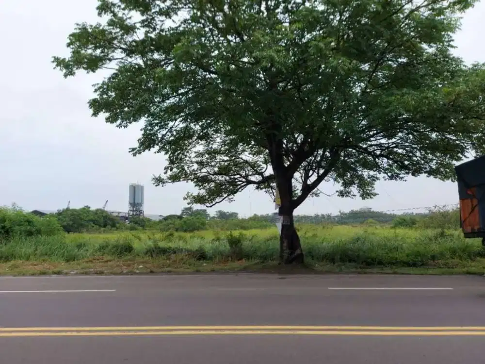 Dijual Tanah di Ciruas Kaserangan Serang - Cocok untuk usaha, harga masih bisa nego!