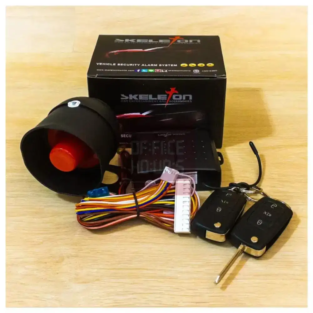 Alarm mobil skeleton model kunci