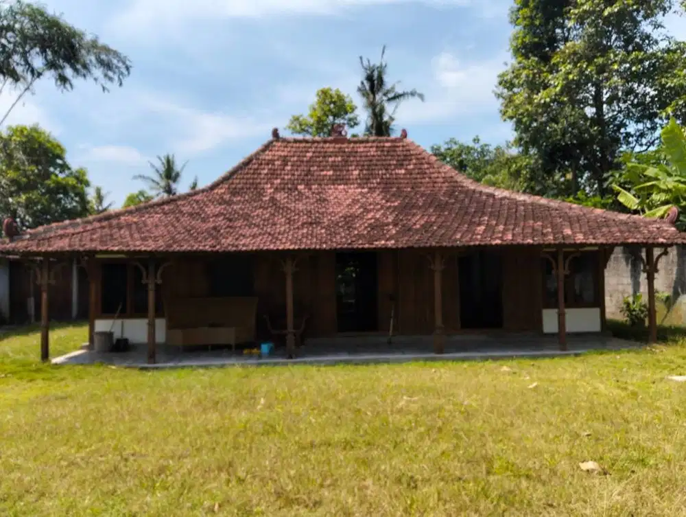 Investasi Homestay Joglo & horse Stable Lokasi Dekat Jalan Parangtriti